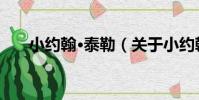 小約翰·泰勒(關于小約翰·泰勒簡介)