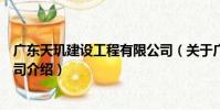 廣東天璣建設工程有限公司(關于廣東天璣建設工程有限公司介紹)