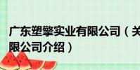 廣東塑擎實業有限公司(關于廣東塑擎實業有限公司介紹)