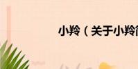 小羚(關于小羚簡介)