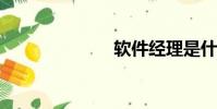 軟件經理是什么