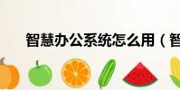 智慧辦公系統怎么用(智慧辦公系統)