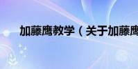 加藤鷹教學(關于加藤鷹教學的簡介)