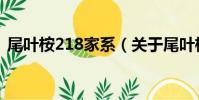 尾葉桉218家系(關于尾葉桉218家系簡介)