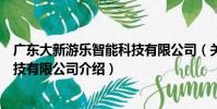 廣東大新游樂智能科技有限公司(關于廣東大新游樂智能科技有限公司介紹)
