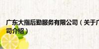 廣東大指后勤服務有限公司(關于廣東大指后勤服務有限公司介紹)