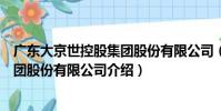 廣東大京世控股集團股份有限公司(關于廣東大京世控股集團股份有限公司介紹)