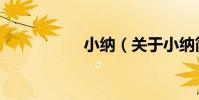 小納(關于小納簡介)