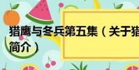 獵鷹與冬兵第五集(關于獵鷹與冬兵第五集的簡介)