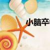 小腦卒中（關于小腦卒中簡介）