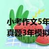 小考作文5年真題3年模擬（關于小考作文5年真題3年模擬簡介）