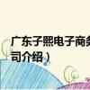 廣東子熙電子商務有限公司（關于廣東子熙電子商務有限公司介紹）