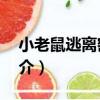 小老鼠逃離密室5（關于小老鼠逃離密室5簡介）