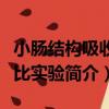 小腸結構吸收對比實驗（關于小腸結構吸收對比實驗簡介）