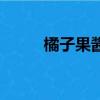 橘子果醬（關于橘子果醬的簡介）