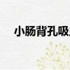 小腸背孔吸蟲（關于小腸背孔吸蟲簡介）