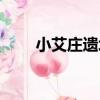 小艾莊遺址（關于小艾莊遺址簡介）