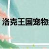 洛克王國寵物組別大全（洛克王國寵物組別）