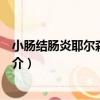 小腸結腸炎耶爾森菌腸炎（關于小腸結腸炎耶爾森菌腸炎簡介）