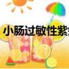 小腸過敏性紫癜（關于小腸過敏性紫癜簡介）