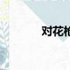 對花槍（關于對花槍的簡介）