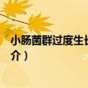 小腸菌群過度生長綜合征（關于小腸菌群過度生長綜合征簡介）
