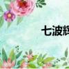 七波輝加盟費（七波輝加盟）
