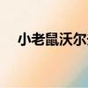 小老鼠沃爾夫（關于小老鼠沃爾夫簡介）