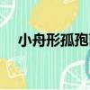 小舟形孤孢菌（關于小舟形孤孢菌簡介）