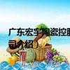 廣東宏宇陶瓷控股有限公司（關于廣東宏宇陶瓷控股有限公司介紹）