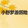 小舒夢游厲險記（關于小舒夢游厲險記簡介）