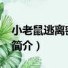 小老鼠逃離密室80（關于小老鼠逃離密室80簡介）