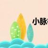 小脈桉（關于小脈桉簡介）