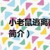 小老鼠逃離密室62（關于小老鼠逃離密室62簡介）