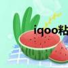 iqoo粘貼板在哪（粘貼板在哪）