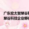 廣東宏太智慧谷科技企業孵化器有限公司（關于廣東宏太智慧谷科技企業孵化器有限公司介紹）