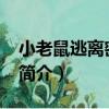 小老鼠逃離密室68（關于小老鼠逃離密室68簡介）