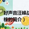 好聲音汪峰戰隊考核（關于好聲音汪峰戰隊考核的簡介）