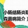 小腸結腸炎耶爾森菌病（關于小腸結腸炎耶爾森菌病簡介）