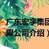 廣東宏宇集團有限公司（關于廣東宏宇集團有限公司介紹）