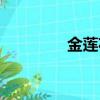 金蓮花歌詞（嘆金蓮歌詞）