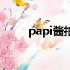 papi醬拍賣的什么（papi醬拍賣）