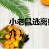小老鼠逃離密室3（關于小老鼠逃離密室3簡介）