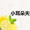 小耳朵夫婦（關于小耳朵夫婦簡介）