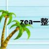 zea一整天什么意思（zea一整天）