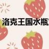 洛克王國水瓶寶寶技能（洛克王國水瓶寶寶）
