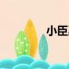 小臣奚（關于小臣奚簡介）