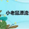 小老鼠漂流記（關于小老鼠漂流記簡介）