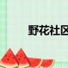 野花社區視頻最新資源6（49v v）