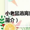 小老鼠逃離密室61（關于小老鼠逃離密室61簡介）